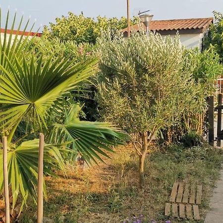 Chalet En Bois "Le Libellule" Sigean Exterior photo